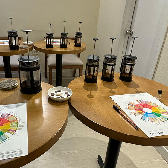 Catación Corta Café