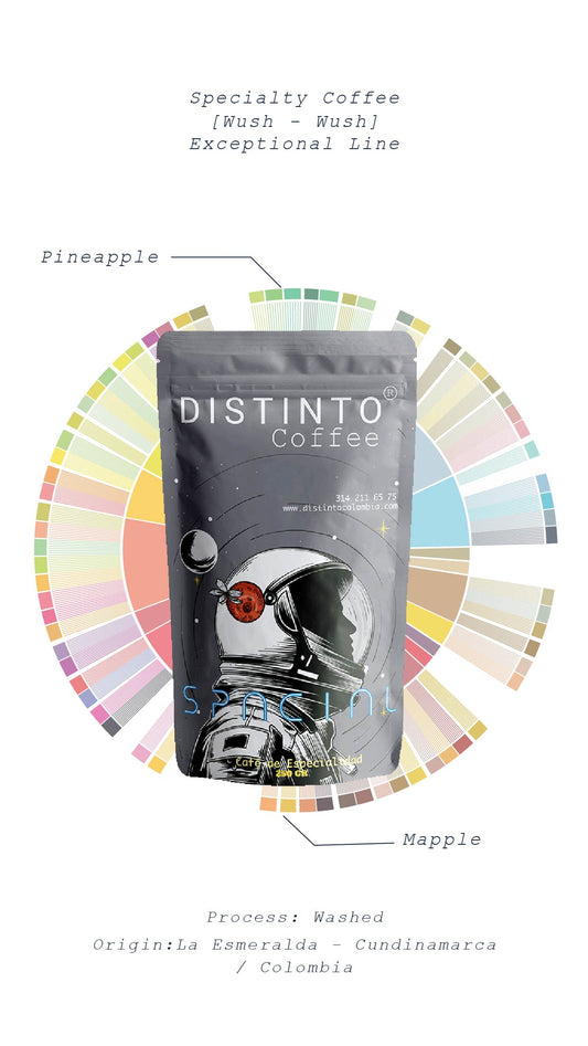 Café Bourbon Sidra (Spacial)