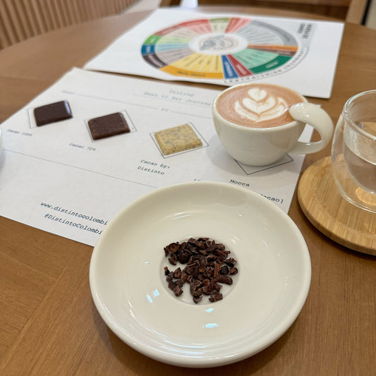 Catación de Cacao