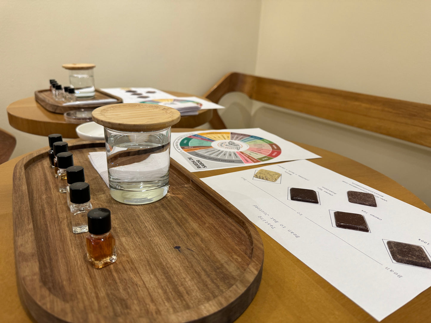 Catación de Cacao (Chocolate)